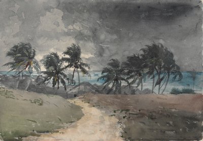 Sturm, Bahamas von Winslow Homer