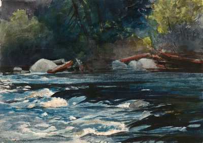 Die Stromschnellen, Hudson River, Adirondacks von Winslow Homer