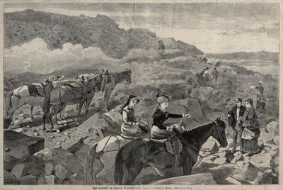 Der Gipfel des Mount Washington, 1869 von Winslow Homer