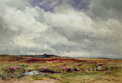 Ein windiger Tag, Dartmoor von Wycliffe Egginton