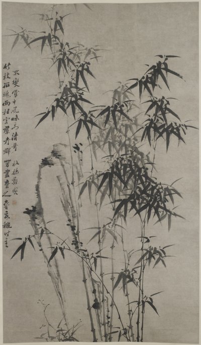 Bambus und Felsen, ca. 1760 von Xie Zheng