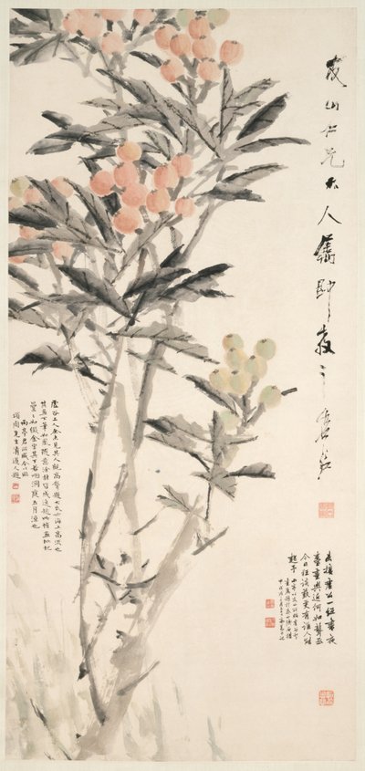 Pipa Loquats, ca. 1888-89 von Xugu