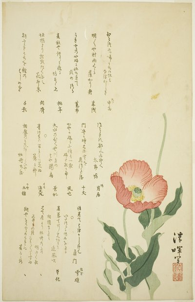 Zwei Mohnblumen von Yokoyama Seiki