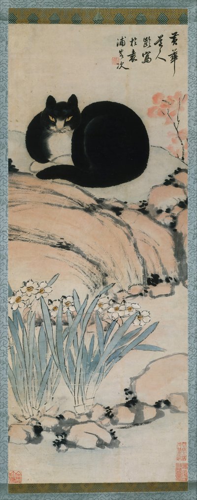 Schwarze Katze und Narzisse, 19. Jahrhundert von Zhu Ling