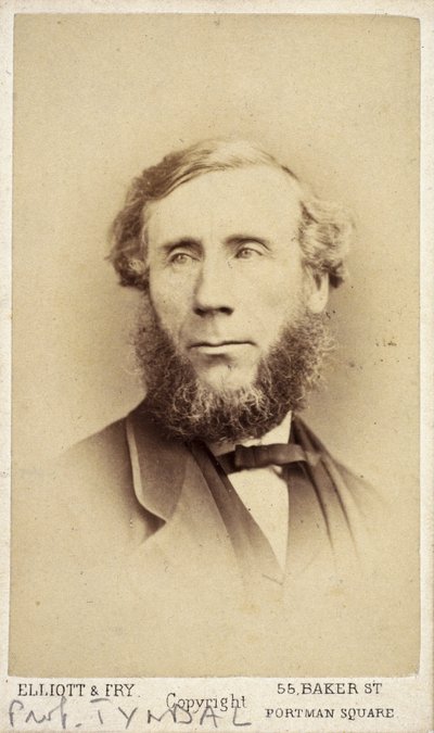 John Tyndall, irischer Physiker, um 1875 von Frederick (attr. to) Barnard