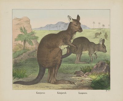 Känguru von firma Joseph Scholz