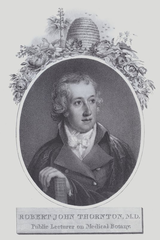 Robert John Thornton (Lithographie) von (after) English School