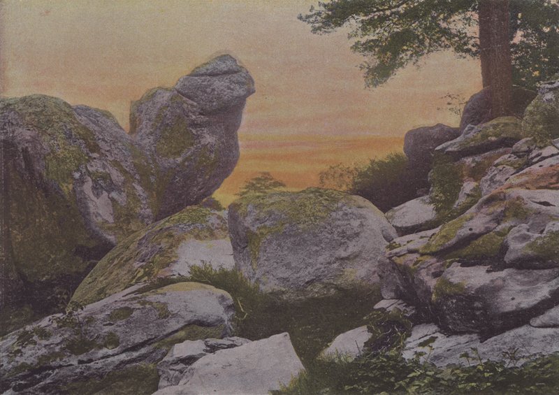 Felsen des Mont Ussy von (after) French Photographer