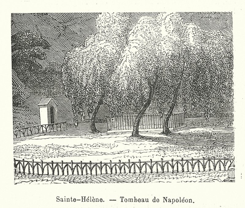 Sainte-Helene, Grab von Napoleon (Gravur) von (after) French School
