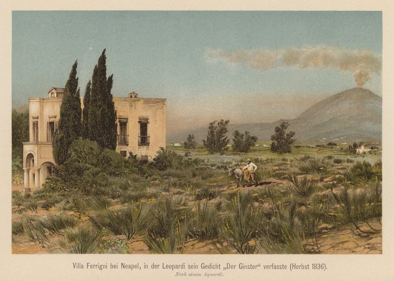 Villa Ferrigni, bei Neapel von (after) German School