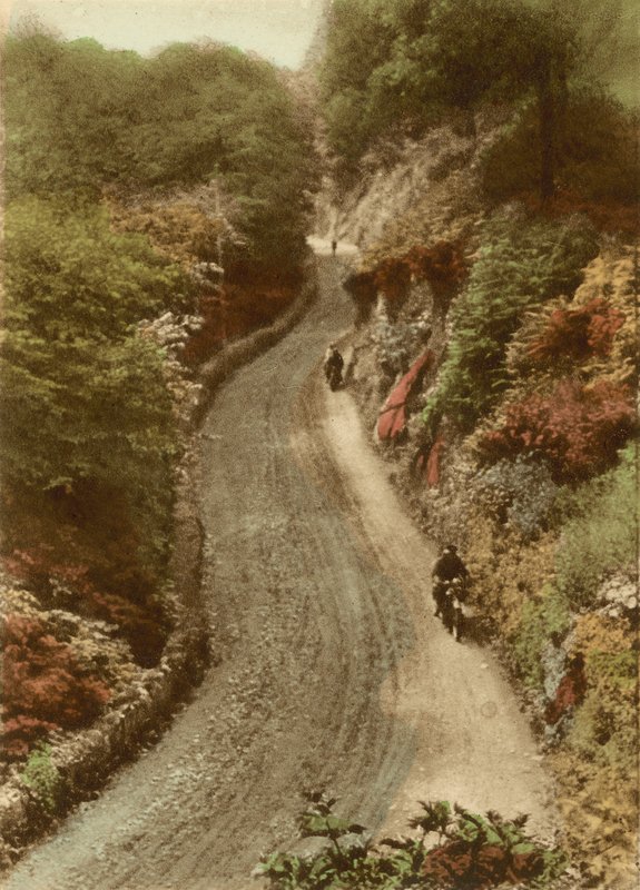 Lynton Hill von English Photographer