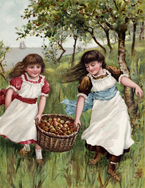 Ein Korb Sommerfrüchte von English School