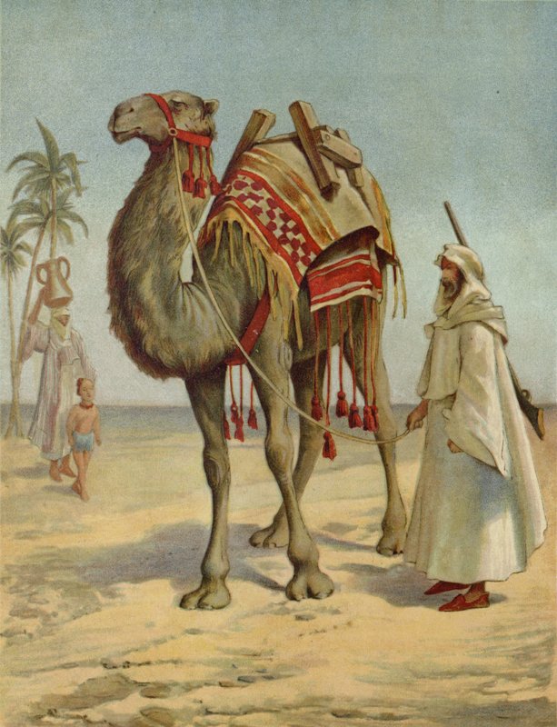 Ein arabischer Händler von English School