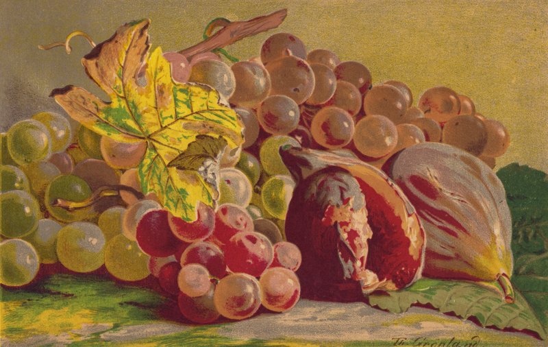 Feigen und Trauben von English School