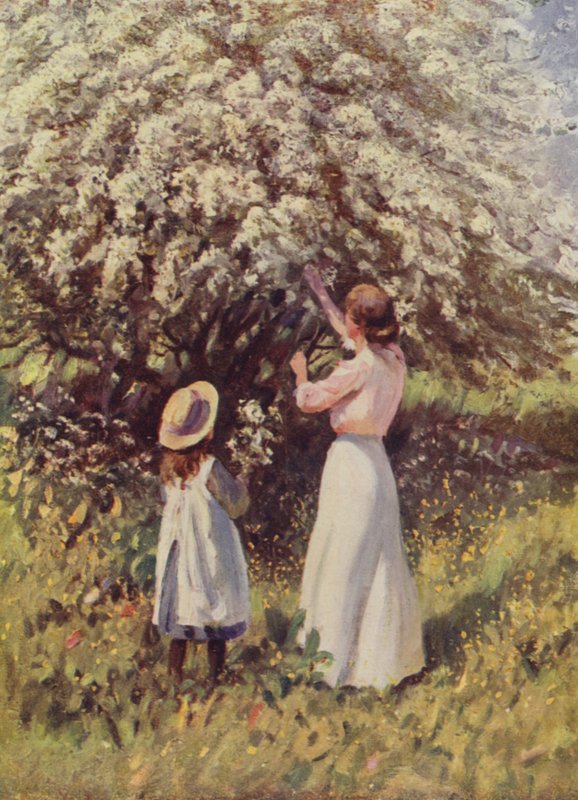 Maiblüte von English School