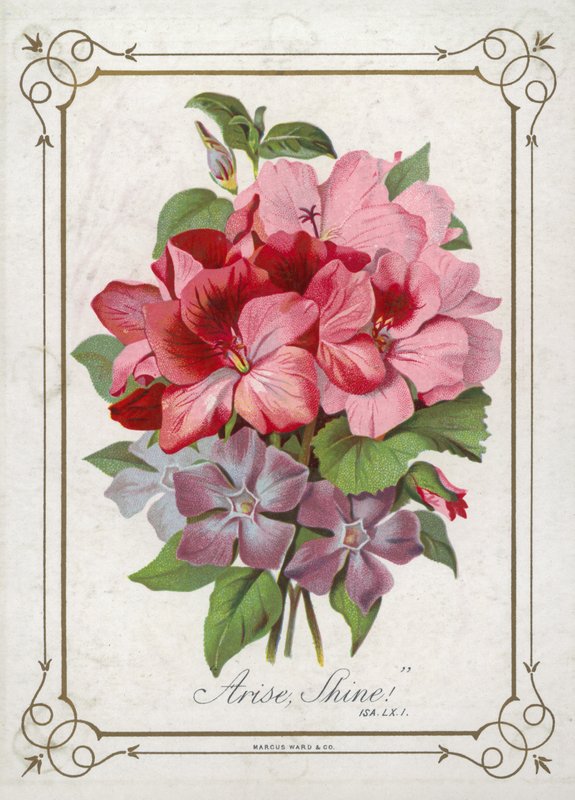 Blumenstrauß von English School