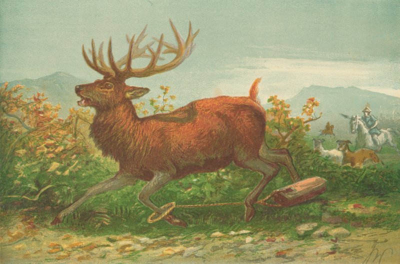 Hirschjagd zur Zeit Xenophons von English School