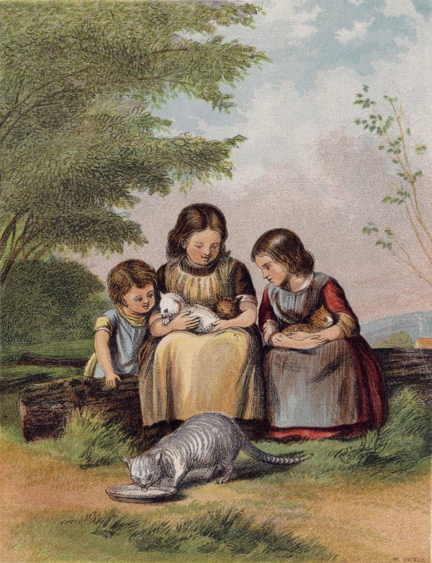 Die Haustiger von English School