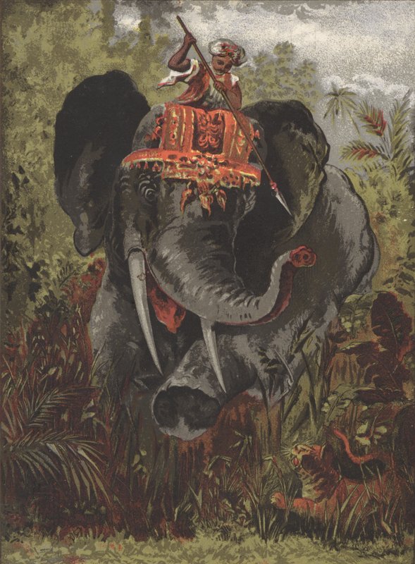 Tigerjagd in Indien von English School