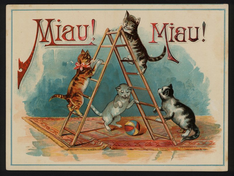 Miau! Miau! von European School