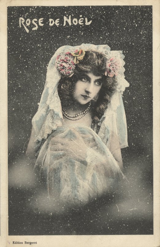 Weihnachtsrose von French Photographer