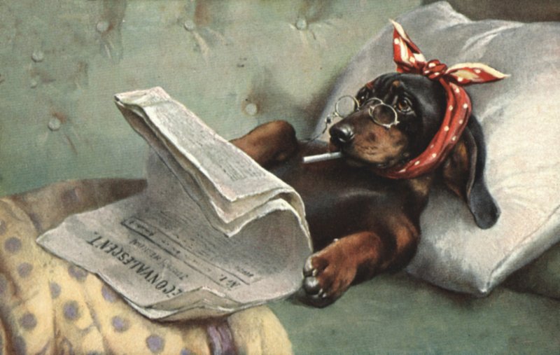 Hund liest eine Zeitung von French School
