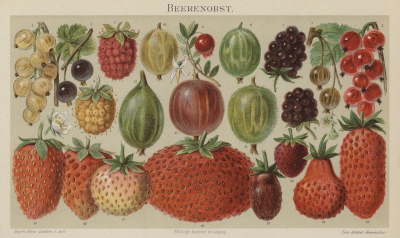 Weichobst von German School