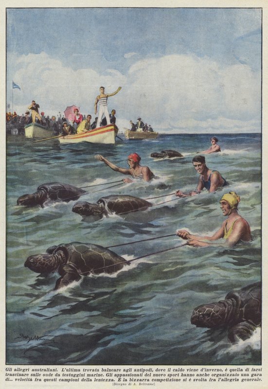 Die fröhlichen Australier von Achille Beltrame