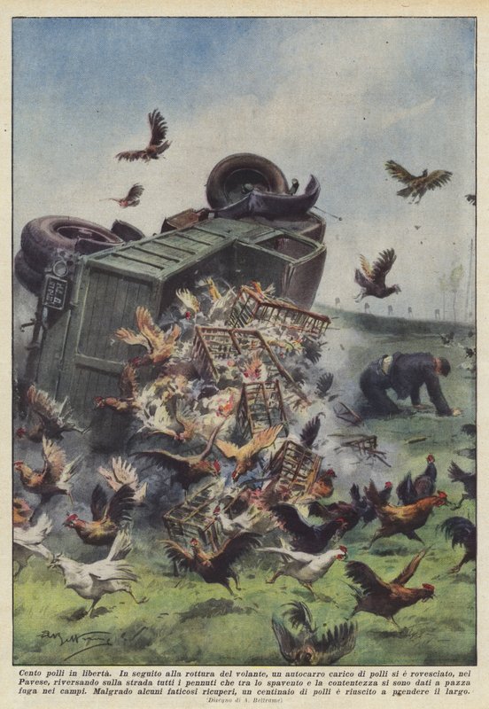 Hundert Hühner in Freiheit von Achille Beltrame