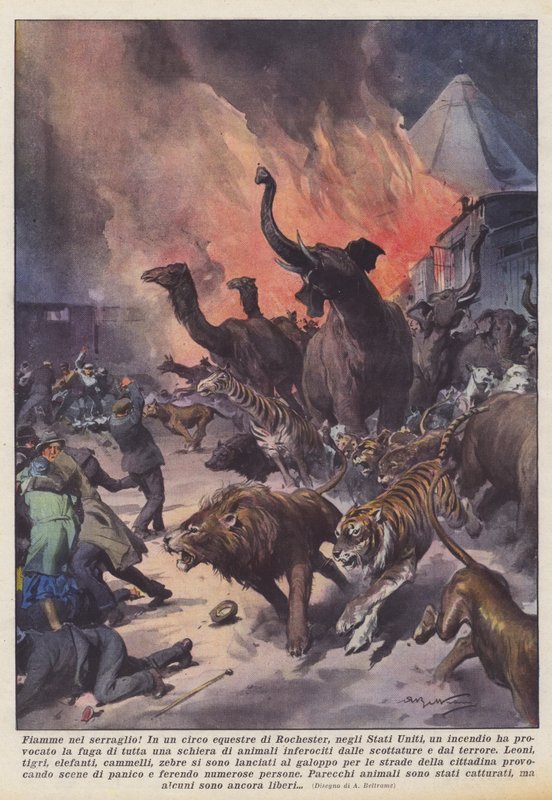 Flammen im Serail! von Achille Beltrame