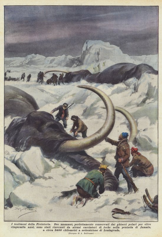 Die Zeugen der Vorgeschichte von Achille Beltrame