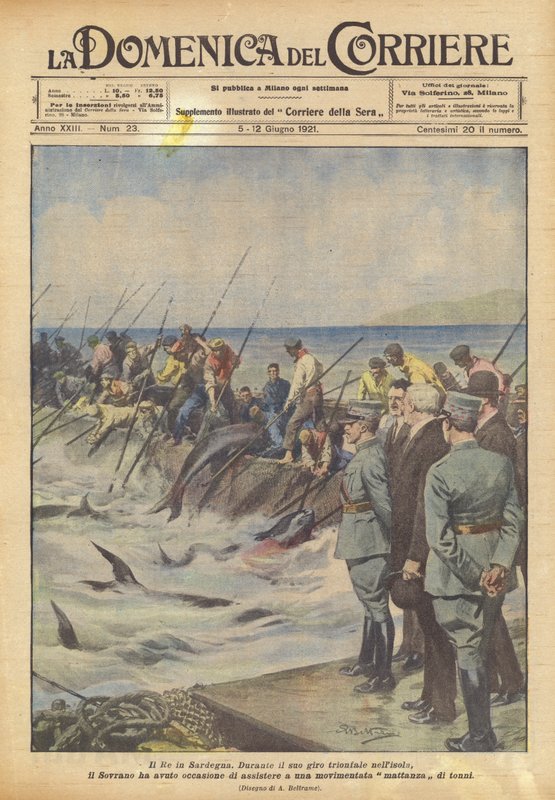 Der König in Sardinien von Achille Beltrame