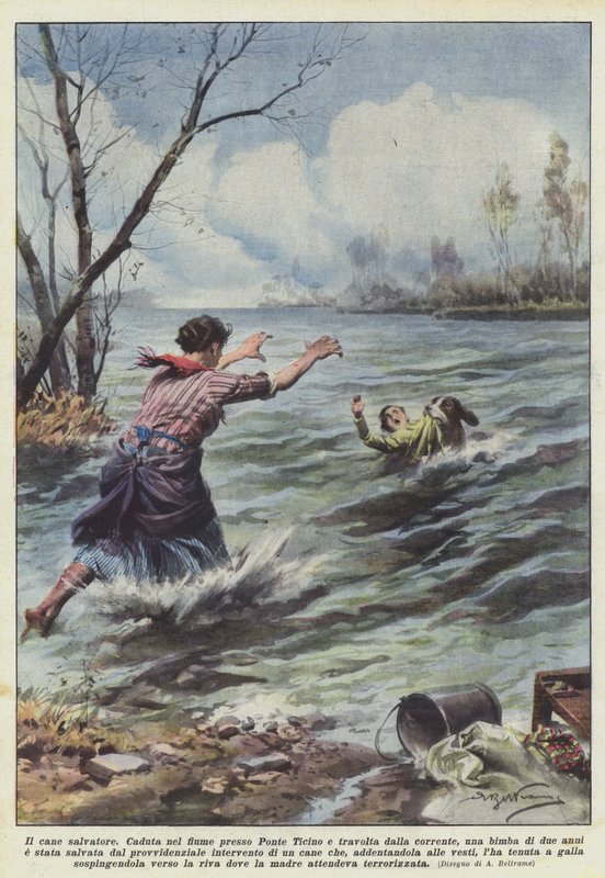 Der Rettungshund von Achille Beltrame