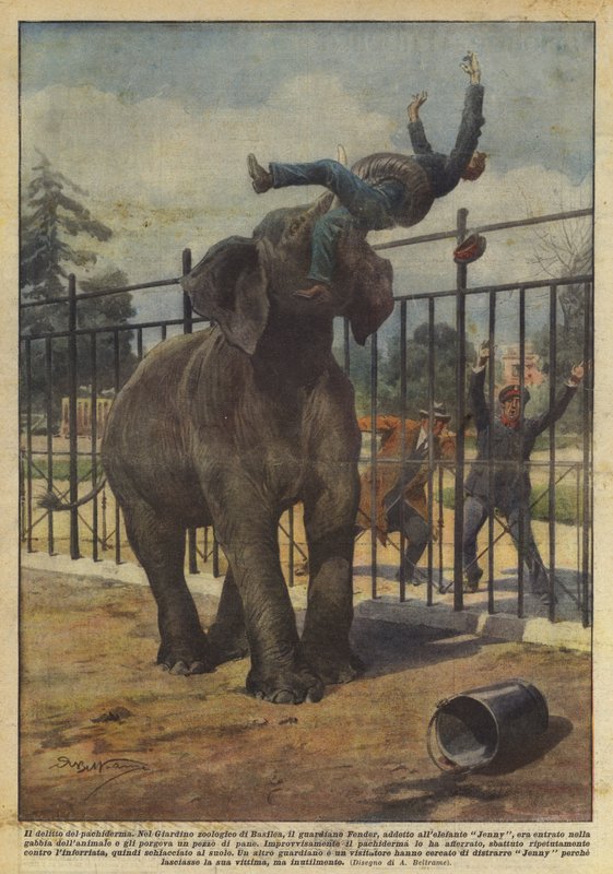 Das Verbrechen des Dickhäuters von Achille Beltrame