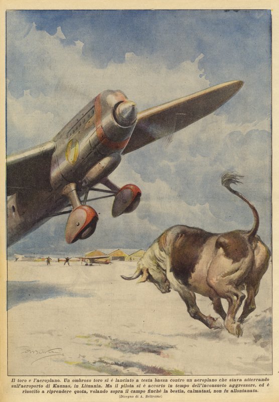 Der Stier und das Flugzeug von Achille Beltrame
