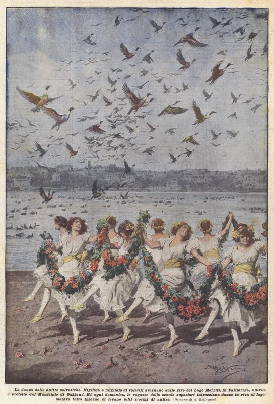 Der Tanz der Wildenten von Achille Beltrame