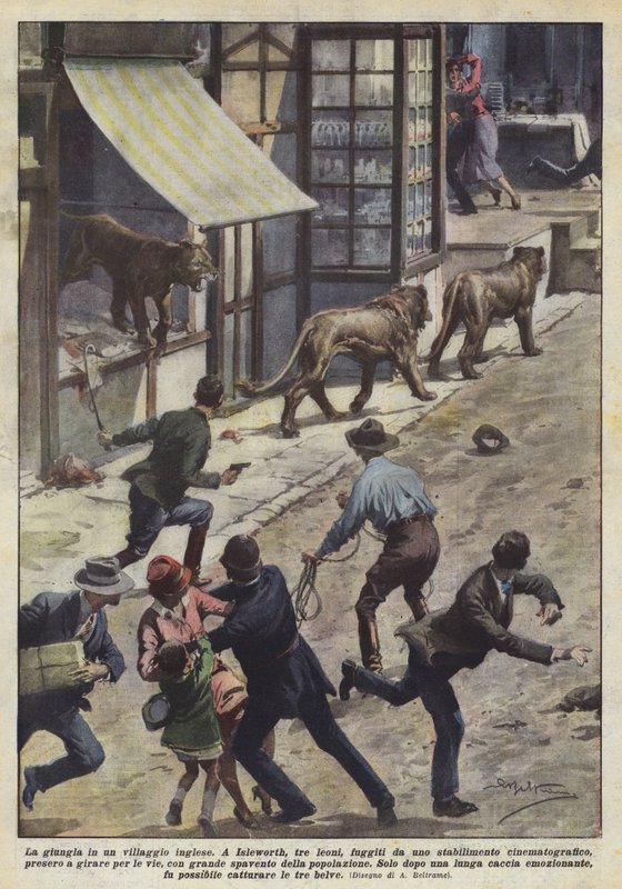 Der Dschungel in einem englischen Dorf von Achille Beltrame