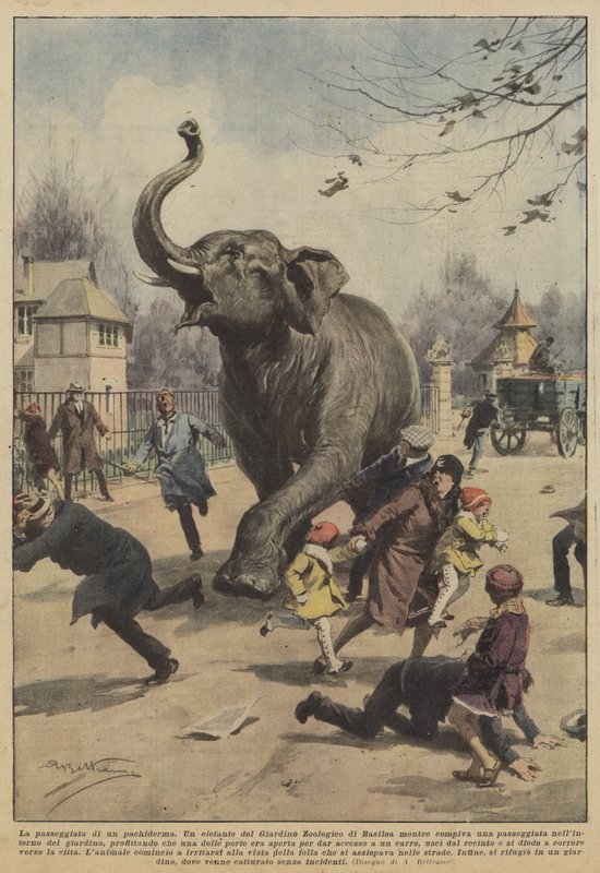 Der Spaziergang eines Dickhäuters von Achille Beltrame