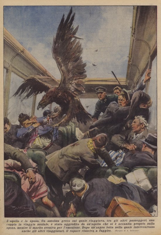 Der Adler und die Braut von Achille Beltrame