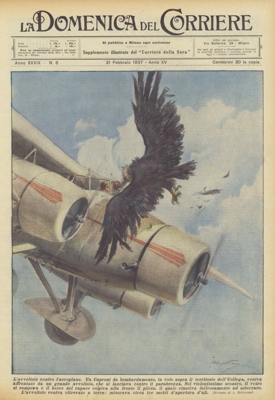 Der Geier gegen das Flugzeug von Achille Beltrame