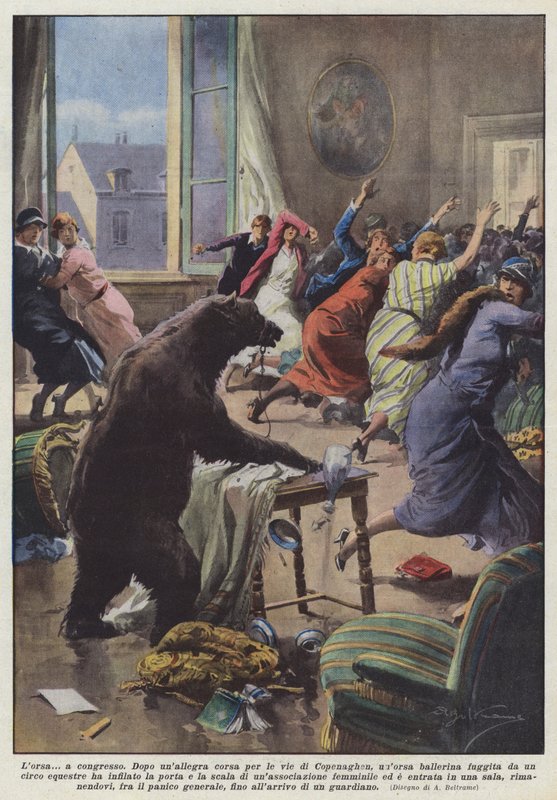 Der Bär auf dem Kongress von Achille Beltrame
