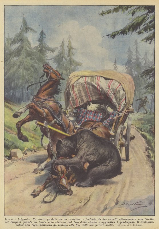 Der Bärenräuber von Achille Beltrame