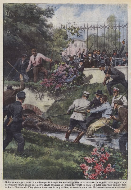 Viel Lärm um nichts von Achille Beltrame