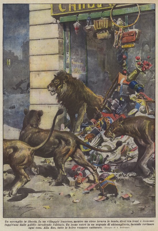 Ein entfesselter Zoo von Achille Beltrame