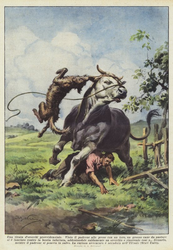 Ein rettender Ohrfeigen von Achille Beltrame