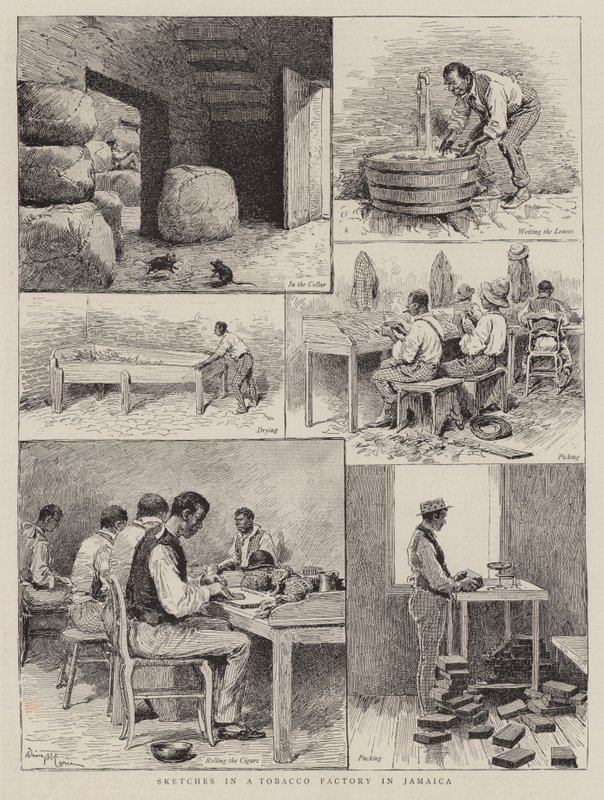 Skizzen in einer Tabakfabrik in Jamaika von Adrien Emmanuel Marie