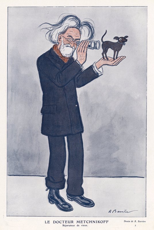 Elie Metchnikoff, russischer Zoologe (Farblithografie) von Adrien Barrere