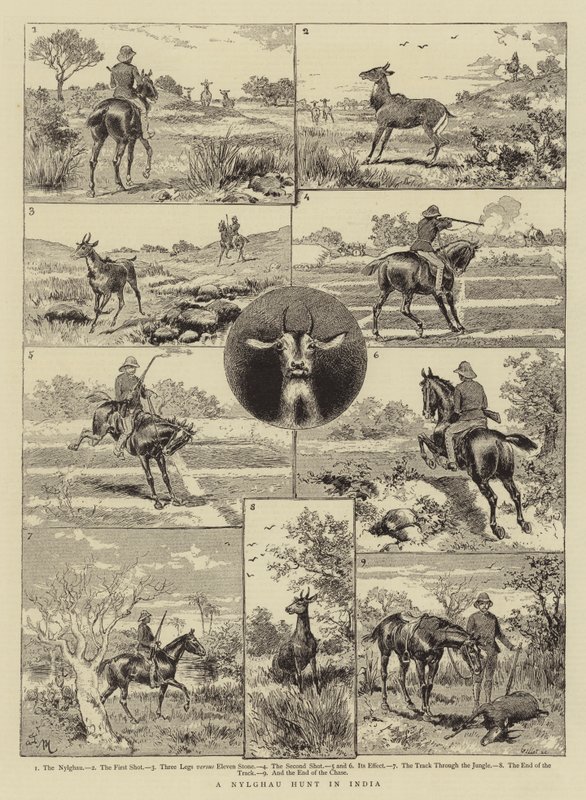 Eine Nylghau-Jagd in Indien von Adrien Emmanuel Marie