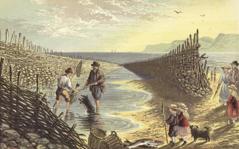 Fischwehr von Alexander Francis Lydon