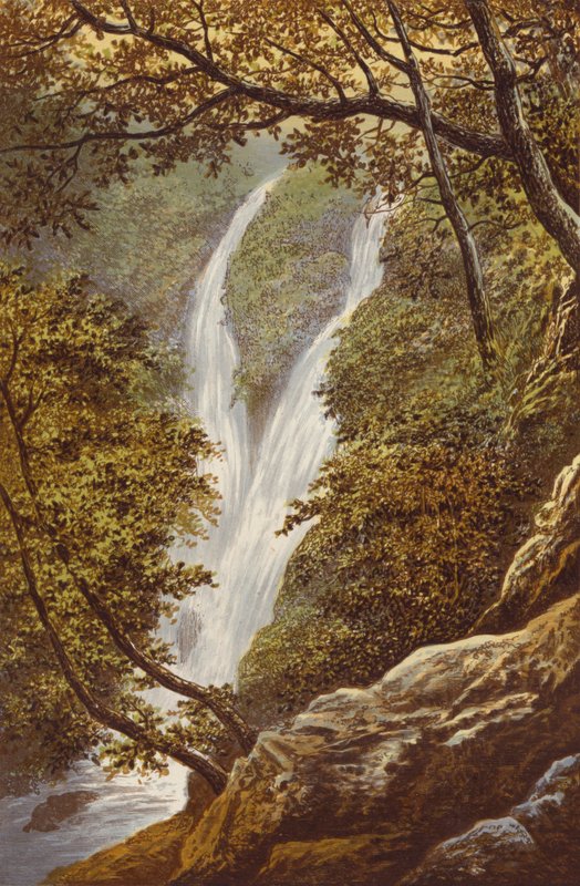 Stock Gill Force von Alexander Francis Lydon